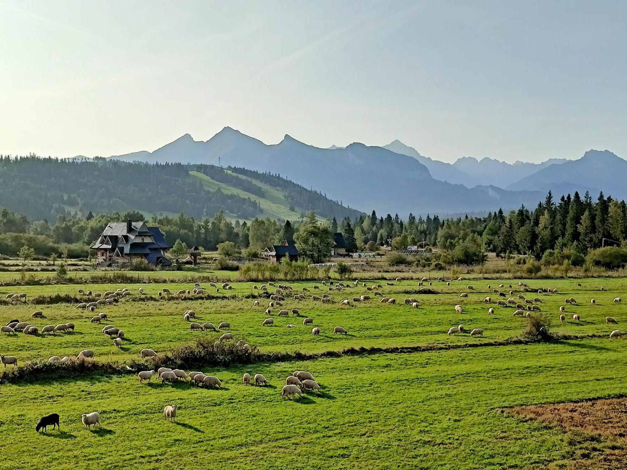 Domek Z Goralska Dusza Sleboda Jurgów 외부 사진